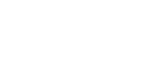 Fuji Electric