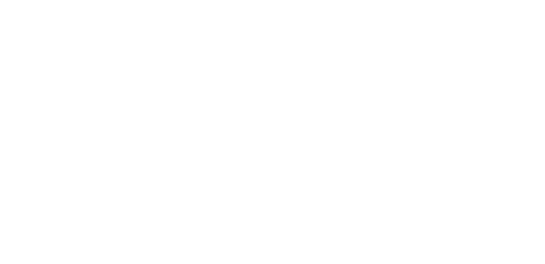 adept